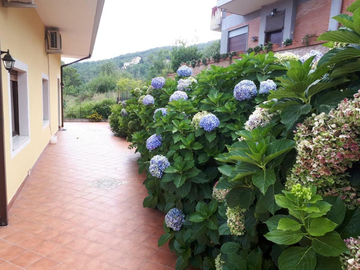 Hébergement de vacances La Casa Dei Colori *
